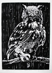 creatures of the night, Owl