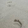 Sand Prints