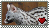 Genet Love Stamp