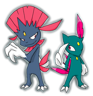 Weavile and Sneasel