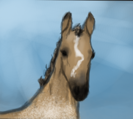 Payment for @angry-horse-for-life