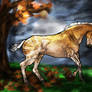 ..: Autumn Colors :.. | Art Bid | @Zeraas