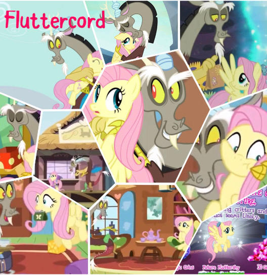 Fluttercord Deviantart Fluttercord collage by DashiePie3 on DeviantArt