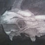 Charcoal Skull