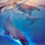 Swimming with whales