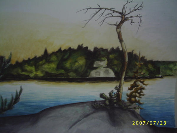 The Point Tree the point- tree planting by partymarty on DeviantArt