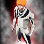 Fullbringer: Bleach 452