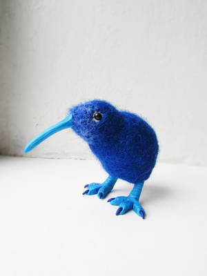 Blue Kiwi 2