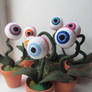 Eyeball garden