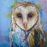 Barn Owl