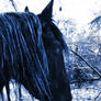 Ice Friesian 02