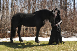 Girl And Horse Stock 01