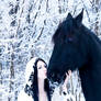 Winter Epona 01