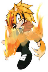 Ablaze the Hedgehog