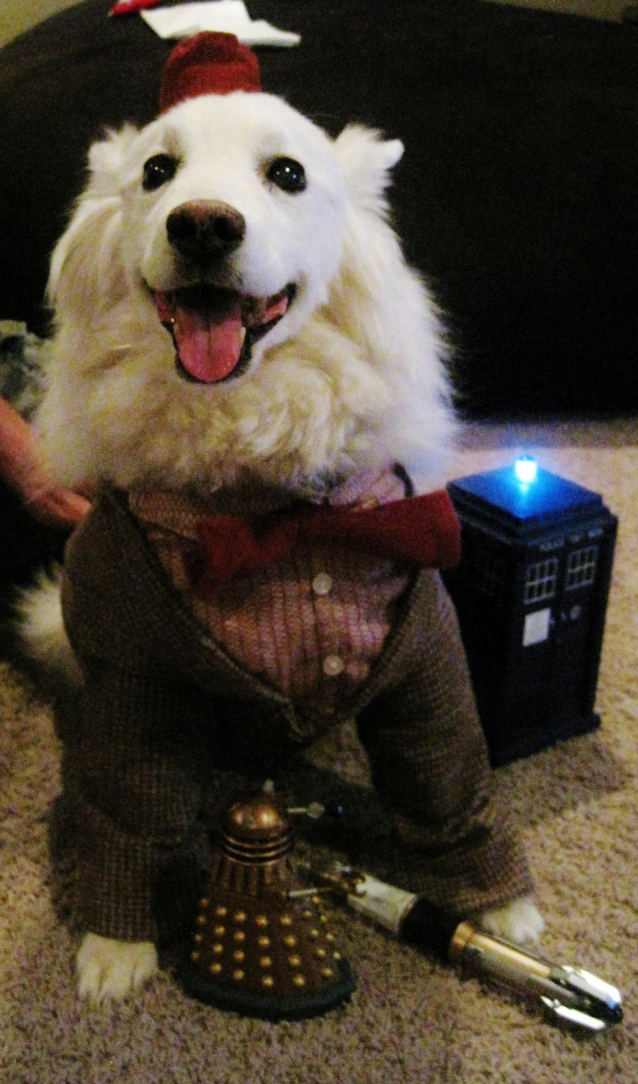 Doctor Who Eleven Costume for my dog Blitzen