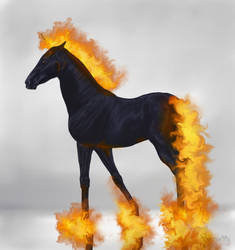 Haunted Fire Pony