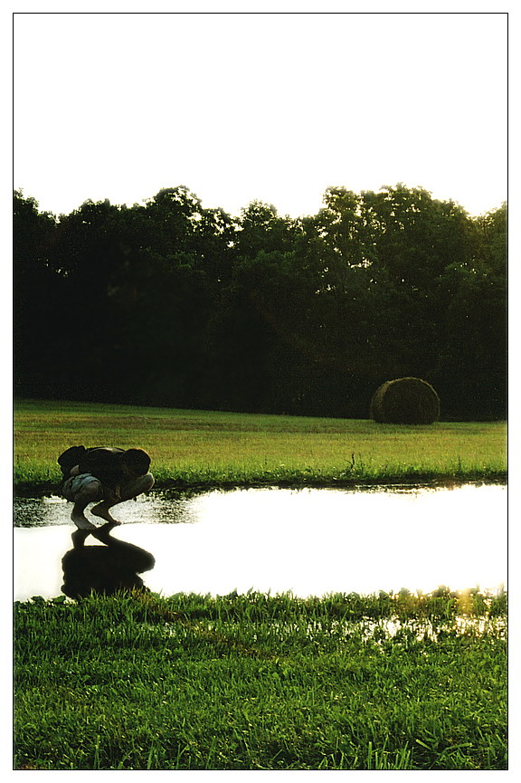 Search for the Sun in a Puddle