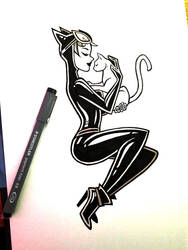 Commission : Catwoman with a cat