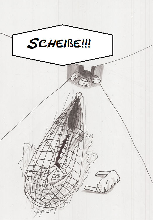 Pokemon Colosseum Manga P.11 by Glurakfan on DeviantArt