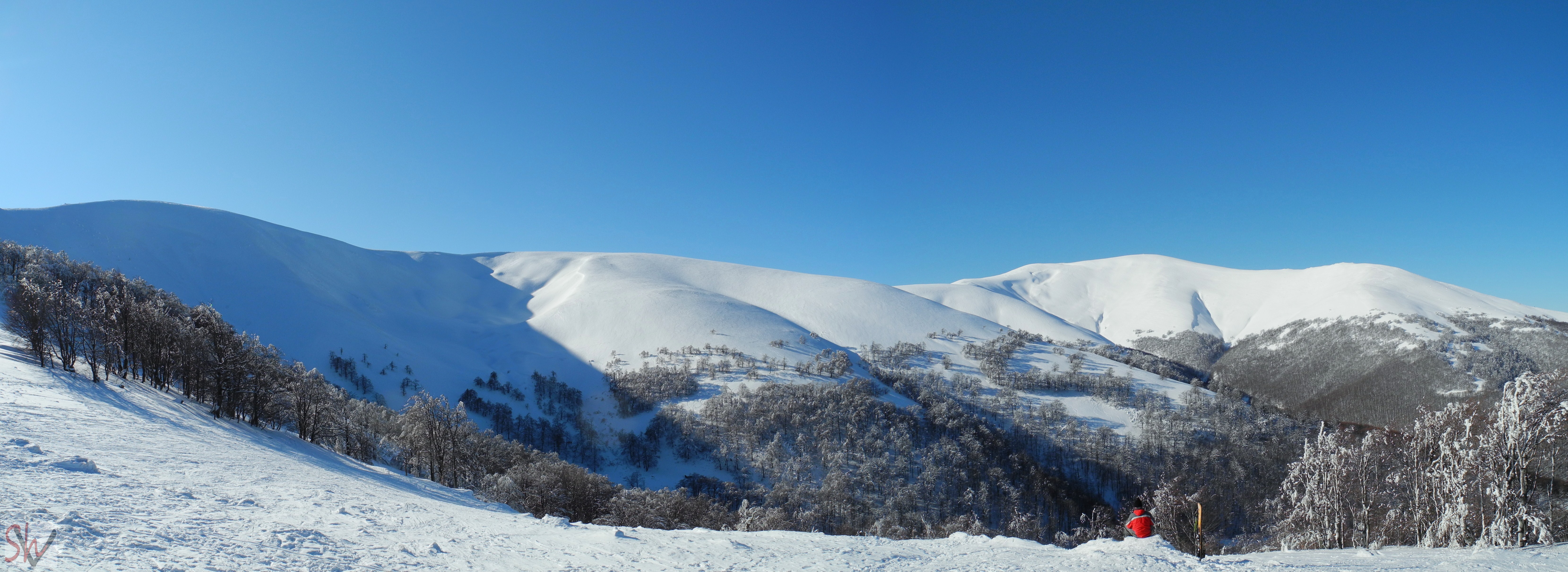 Winter Landscape