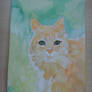 Watercolor Kitty