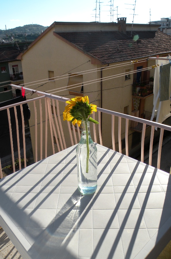 SunflowerPeg