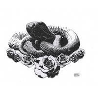 Cobra and roses