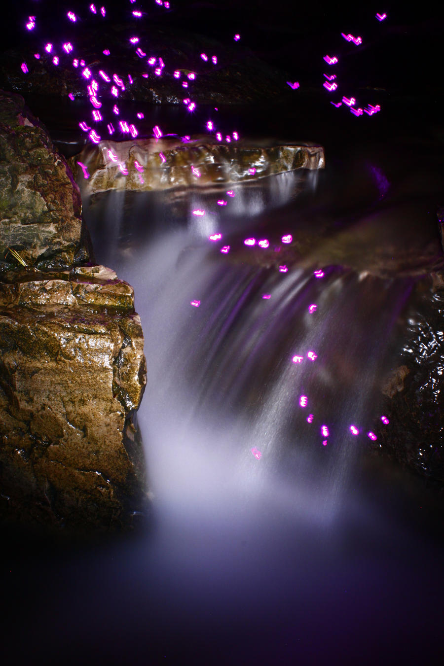 Image result for purple fireflies