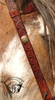 First celtic bridle - Details