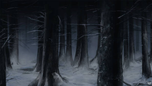 Winter Forest