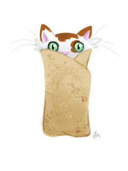 Daily Doodle #2 - Purrito