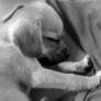 -- Precious --