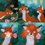 Fox and Hound Romantic Gesture 1