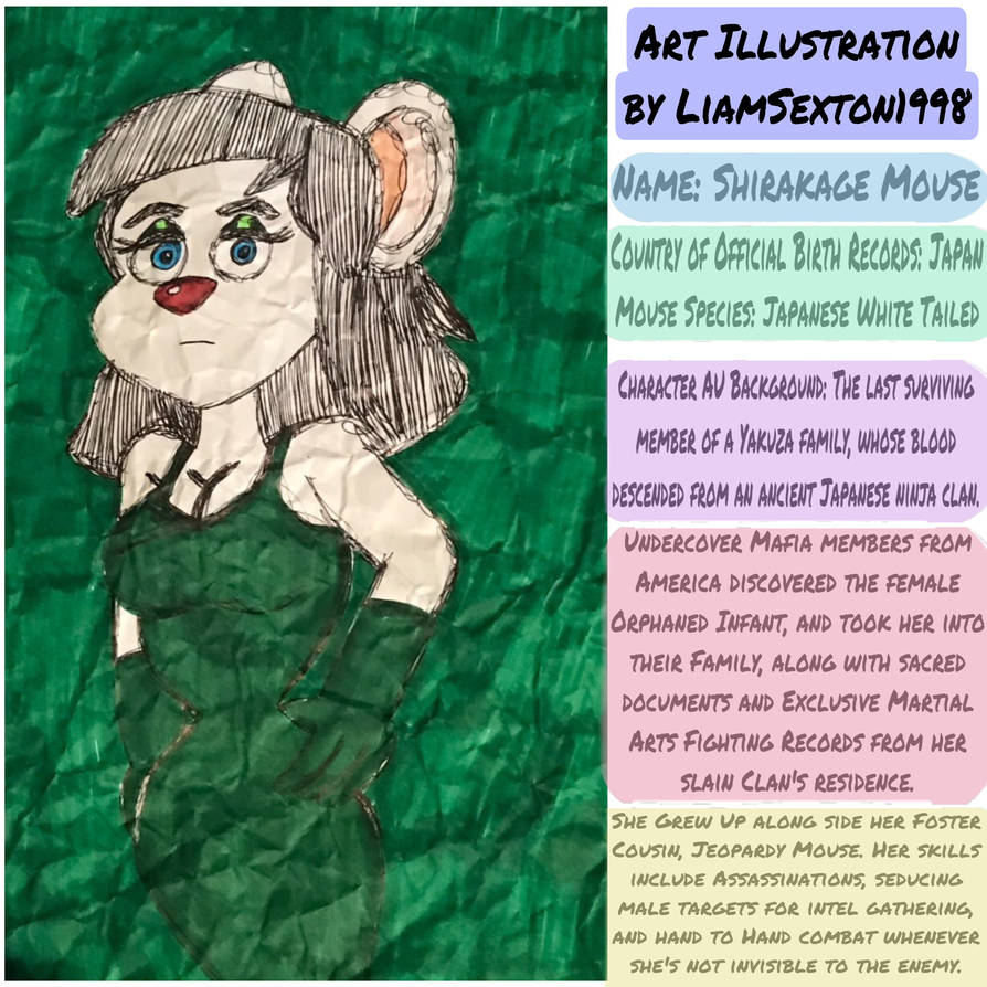 Shirakage Mouse AU plus Character Bio by WorldJumpingFangirl on DeviantArt