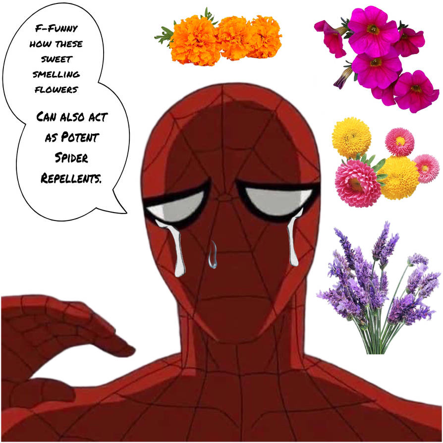 Red Rx Spider Character Spider Traits Part 9 of 9 by WorldJumpingFangirl on DeviantArt