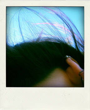 . Poladroid 4 .