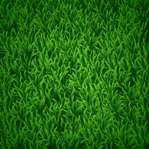 How to Create Vector Grass in Illustrator