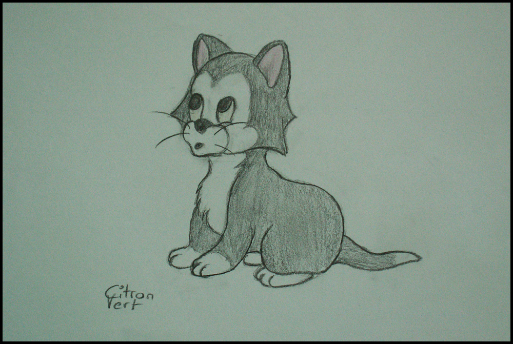Pinocchio Figaro By Citron Vert On Deviantart Pinocchio Figaro By Citron Vert On Deviantart