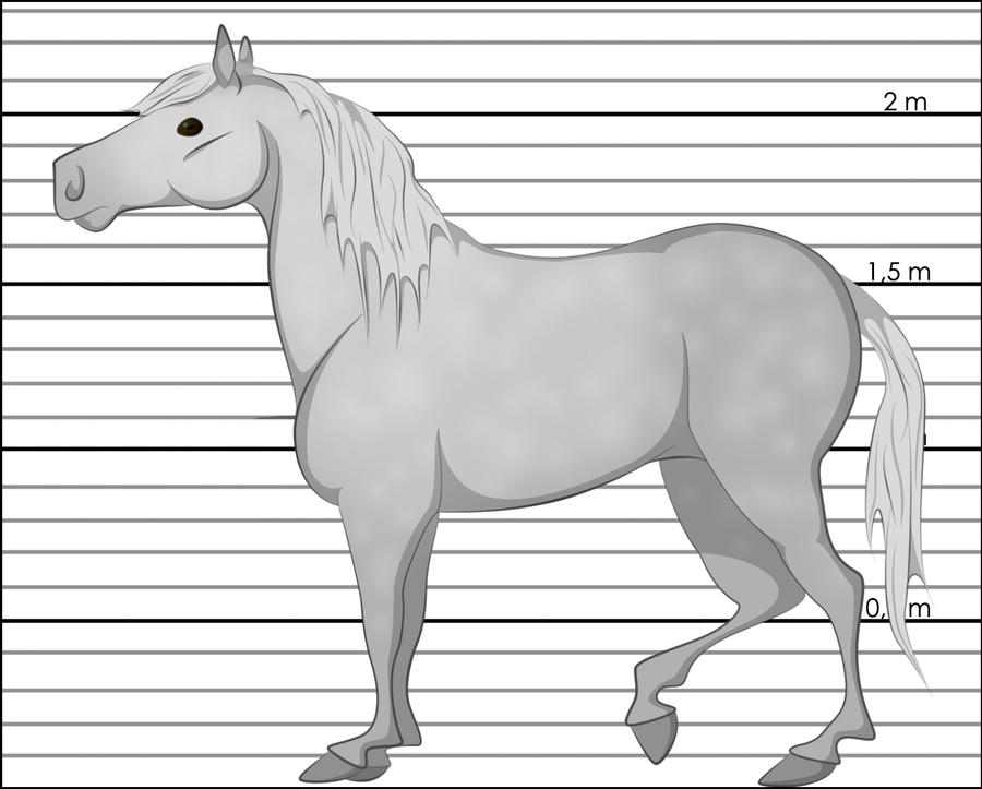 Race de chevaux : Orlov