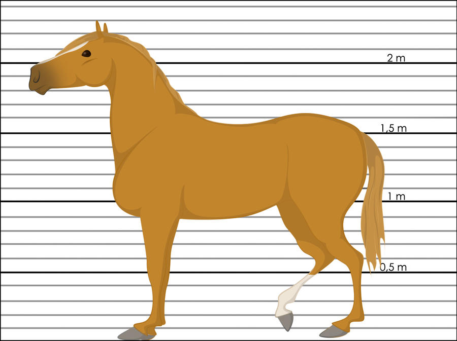 Race de chevaux : Pur Sang