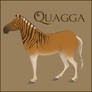 Zebra : Quagga