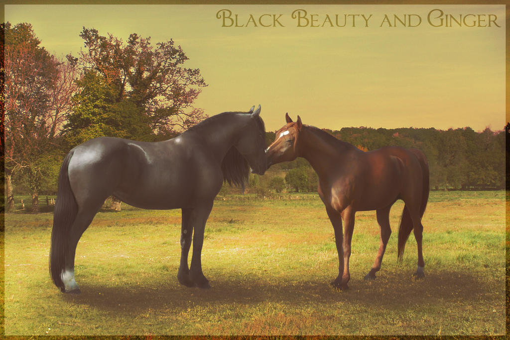 Black Beauty and Ginger