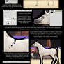 Tutorial : Cut a Horse