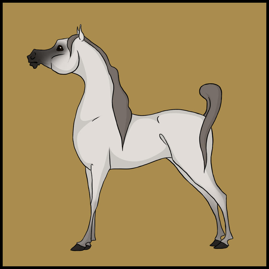 When To Geld A Horse A Comprehensive Guide To Timing And when-to-geld-a-horse-a-comprehensive-guide-to-timing-and