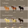 The ultimate equine coat chart