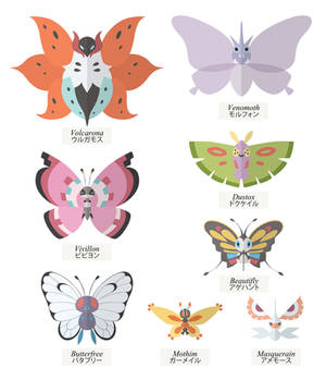 Butterflies Collection