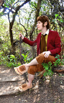 Bilbo Baggins Cosplay Shot 2