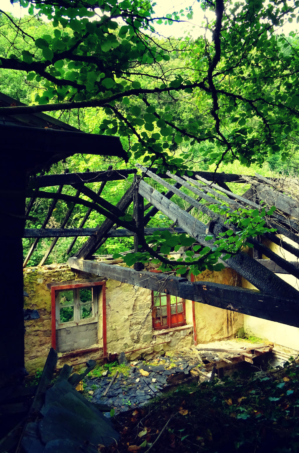Wild branches, burned out rafters, red doors by valmont1702 on DeviantArt