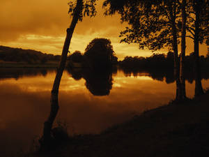Golden Reflection on the Lake
