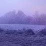 Winter Fog on a Waste Ground